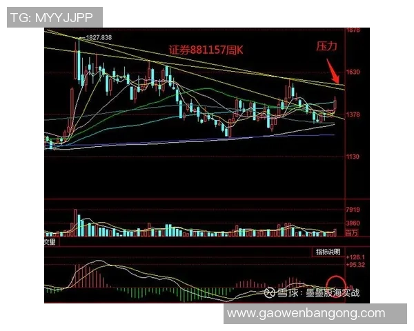 杭州排球队与北京排球队赛后复盘分析比赛节奏与战术对比 杭州排球队与北京排球队赛后复盘分析比赛节奏与战术对比