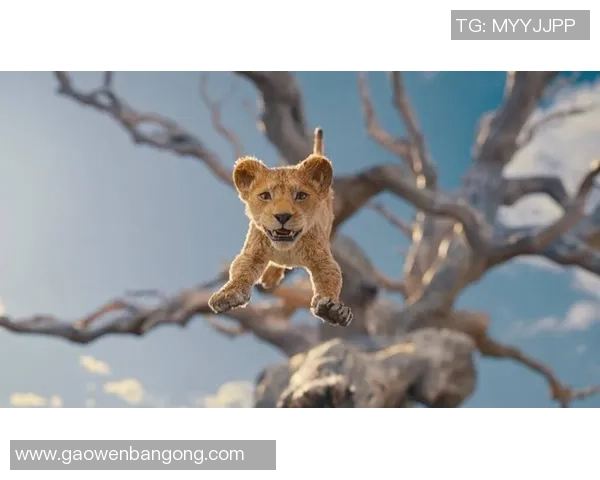 泰国足球明星队长的传奇故事与荣耀时刻揭秘