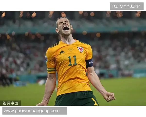 盘点乌克兰足球明星的辉煌时刻与精彩瞬间视频合集