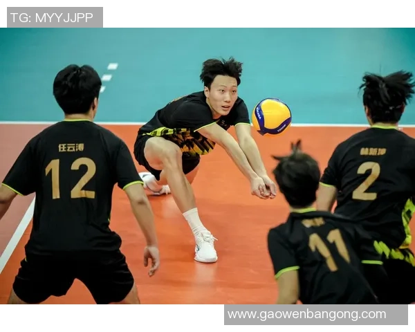 排球热议：重庆排球队的实力争议