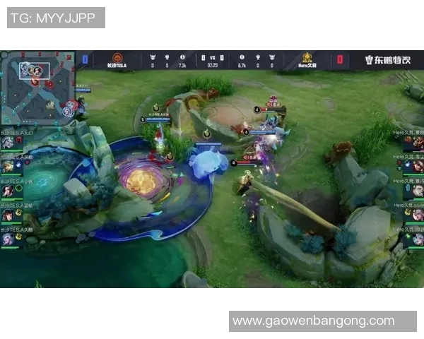 王者荣耀焦点:TES的团队协作探讨
