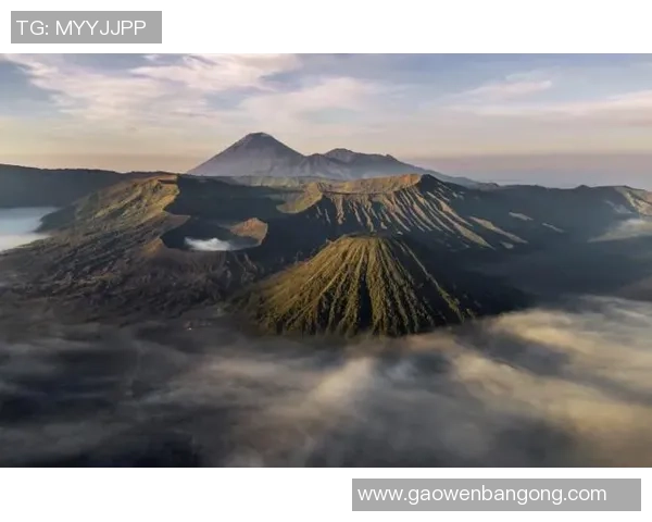 极限运动战术：成都极限运动队的区域防守体系