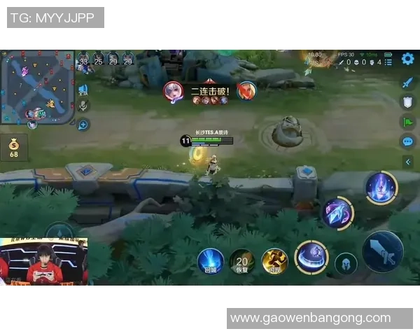 王者荣耀巨献：探秘TES的实力