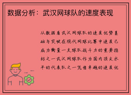 数据分析：武汉网球队的速度表现
