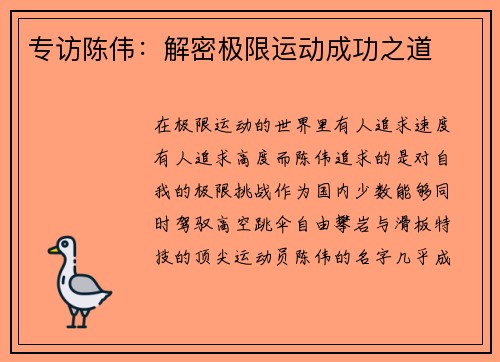 专访陈伟：解密极限运动成功之道