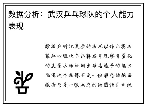 数据分析：武汉乒乓球队的个人能力表现